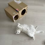 10-min-1